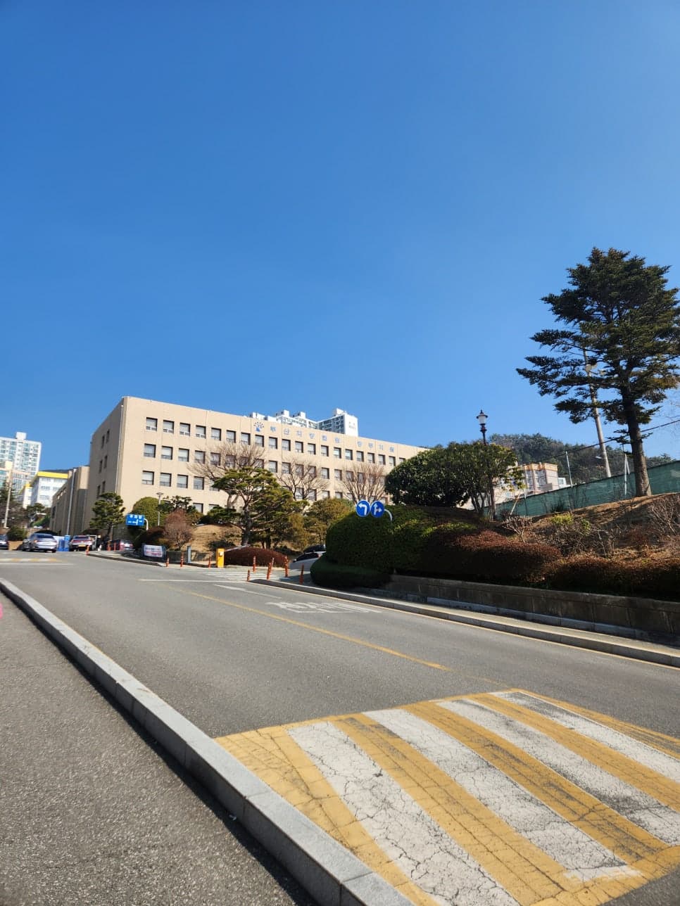 부산지방법원 동부지원 제1회 변론기일 참석 사례 이미지 1