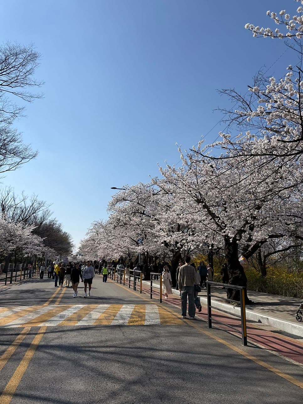 문서제출명령 신청에 대한 간략한 소개 이미지 1