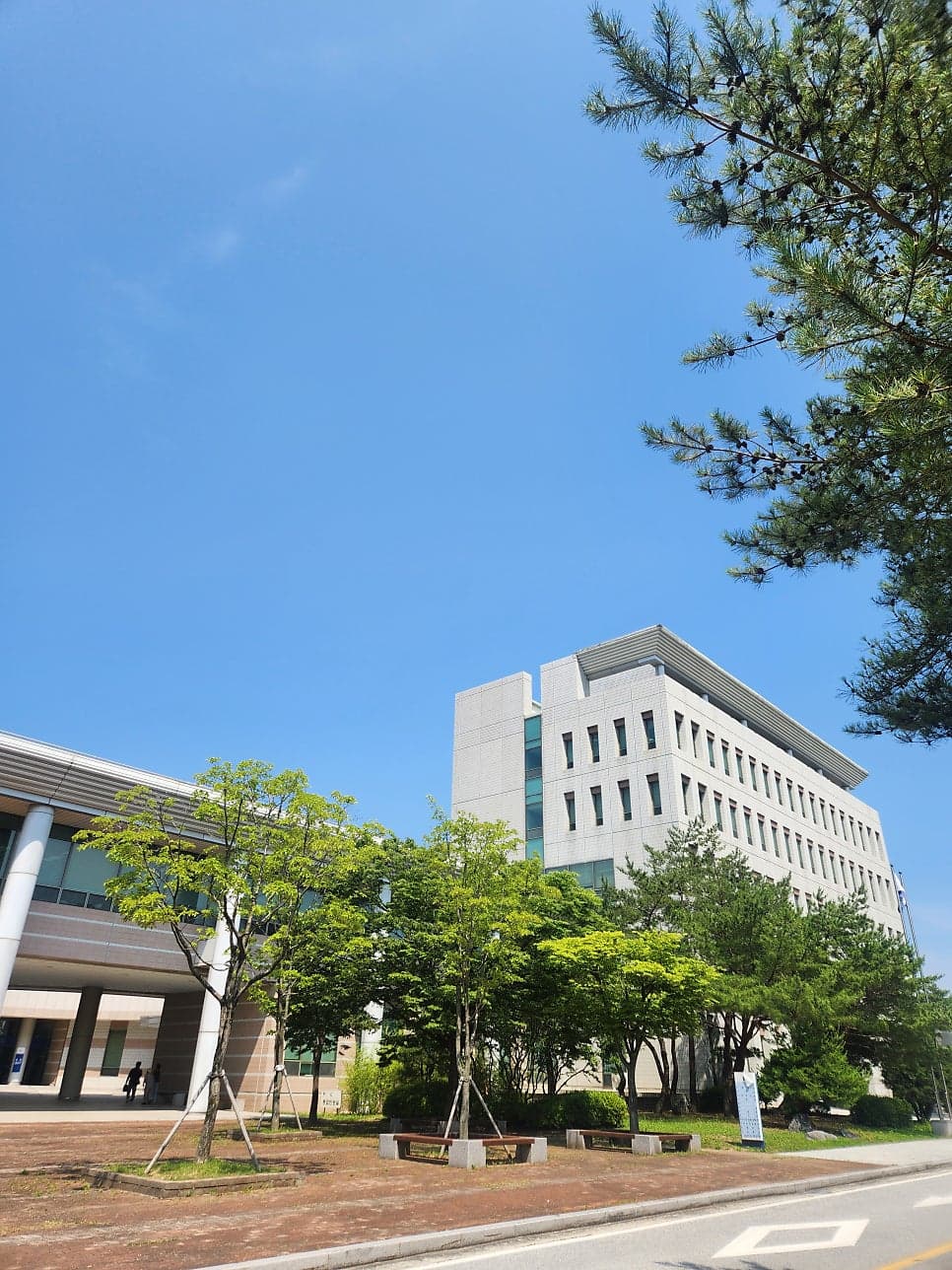 춘천지방법원 강릉지원 이혼 사건 변론기일 참석 사례 이미지 1