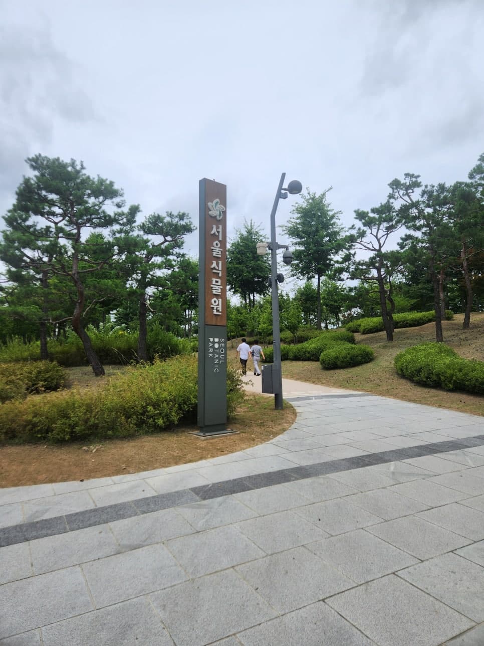 교통사고 손해배상 사건에 대하여 치료비, 일실수입, 위자료를 받아낸 사례 이미지 1