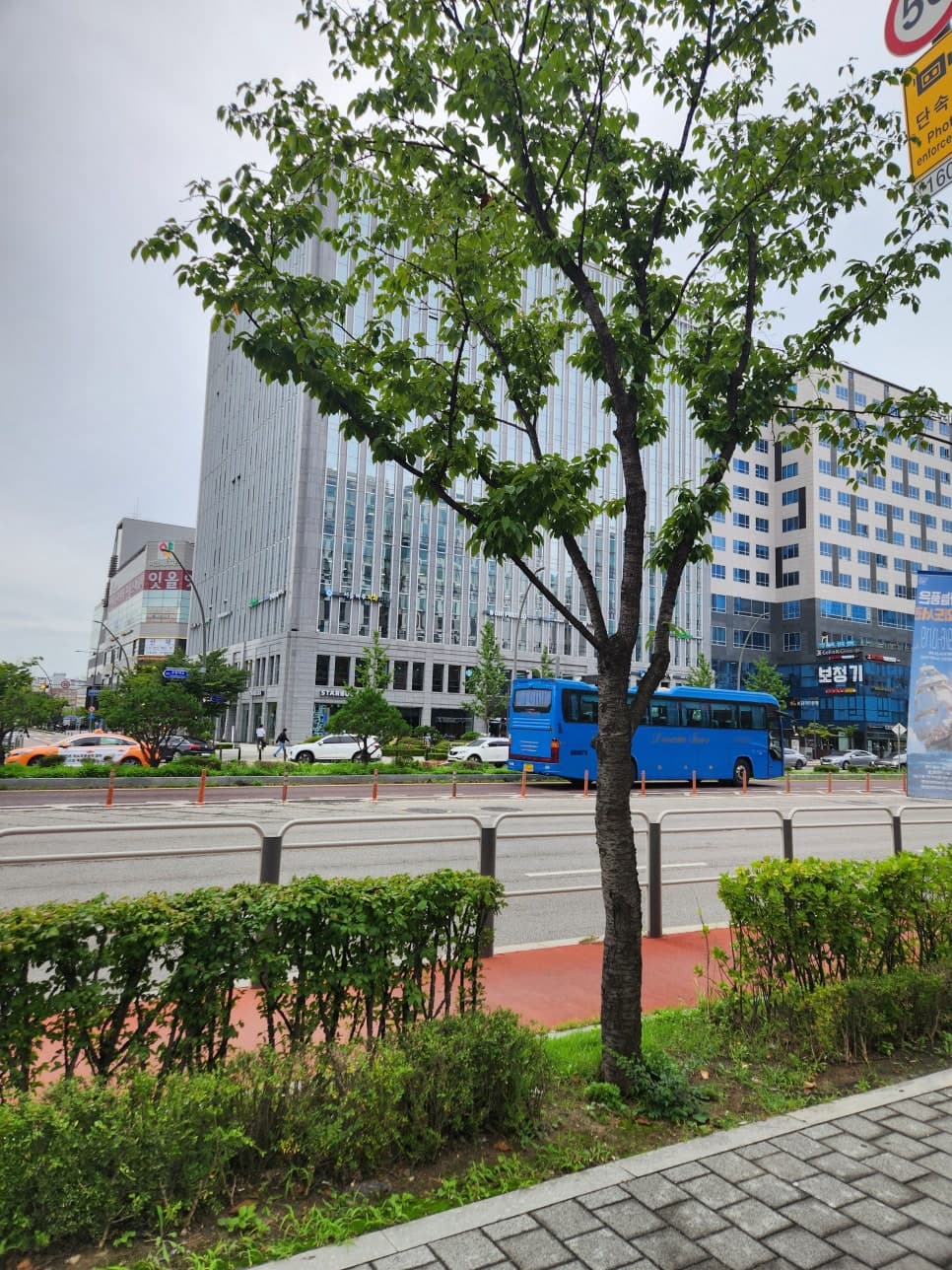 블로그에 이용 후기를 남긴 것이 명예훼손죄가 성립할 수 있을지 여부 이미지 1