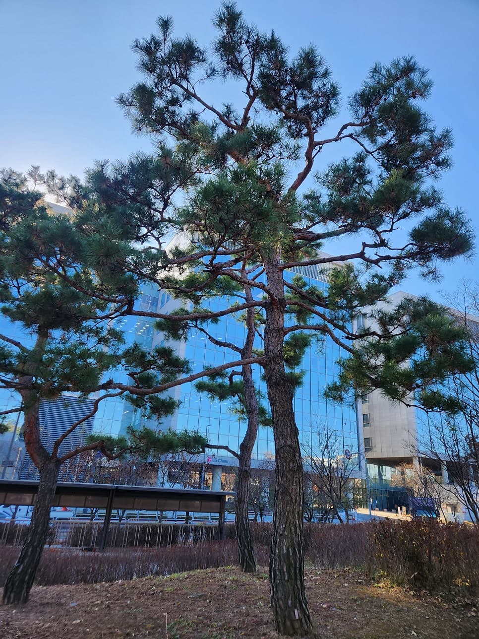 에스테틱 시술로 인한 민형사 조치 관련 검토 이미지 1