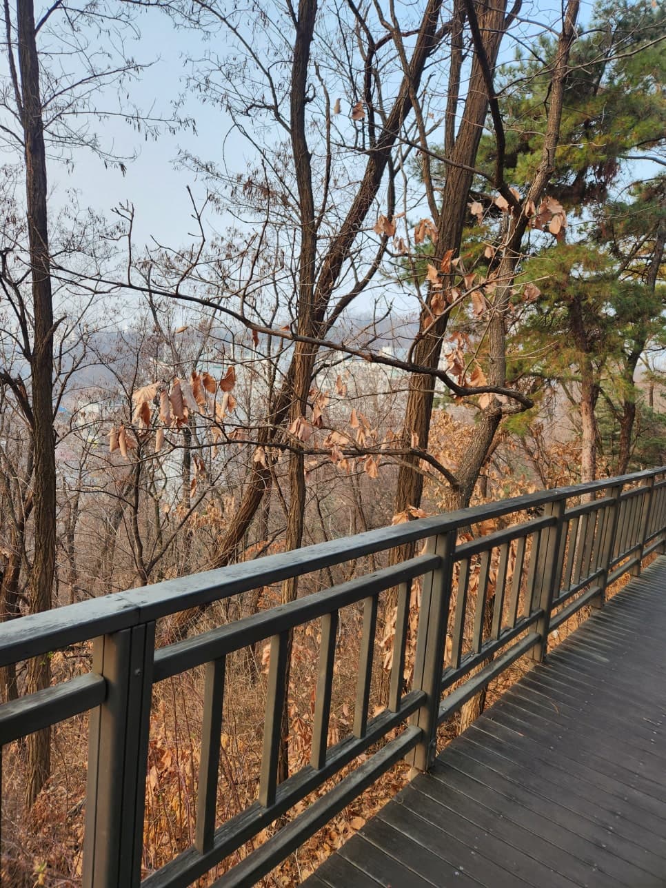 치매에 걸린 할머니의 재산을 보호하기 위한 한정후견 심판 신청 이미지 1