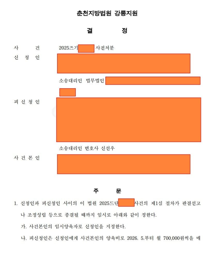 이혼 소송 중 사전처분 양육비 유리하게 결정받은 사례 이미지 1